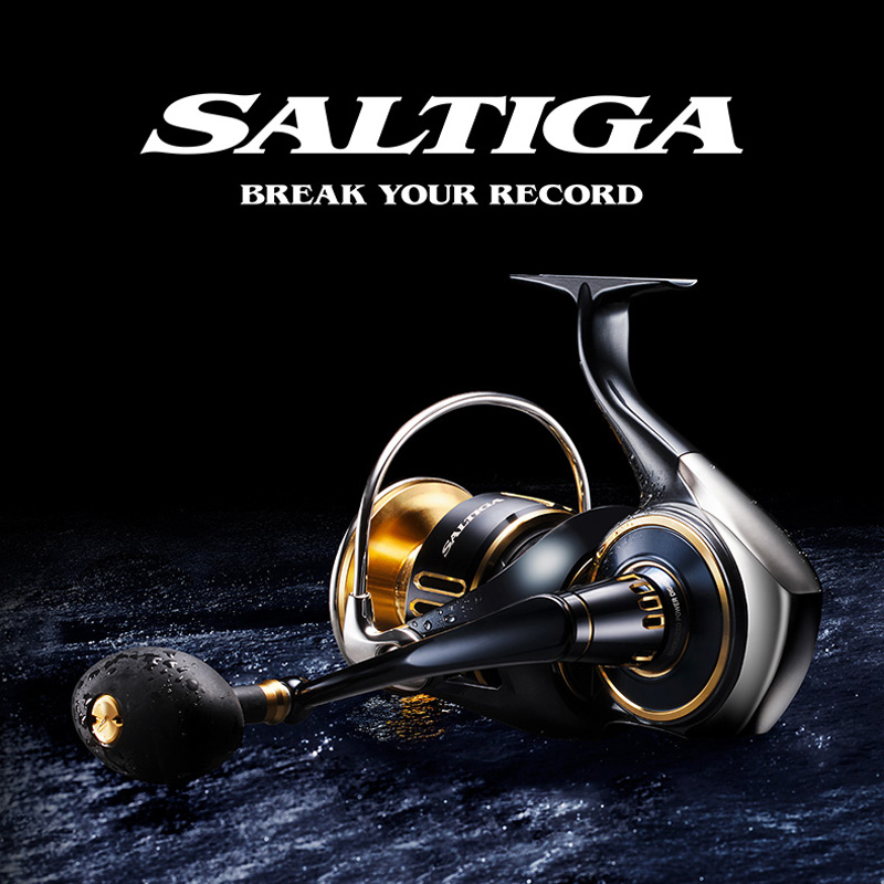 Carrete giratorio original DAI - Daiwa Reel Bg reseña y precio